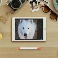 Acheter ???? Logitech Crayon Orange, Blanc ???? 51 Acheter ???? Logitech Crayon Orange, Blanc ???? -Logitech Shop 962c6d4e 17bf 42ae b92b 9c55e83c9826