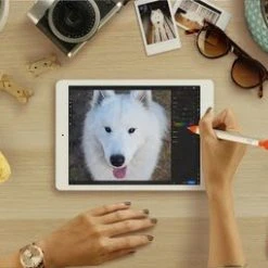 Acheter ???? Logitech Crayon Orange, Blanc ???? 52 Acheter ???? Logitech Crayon Orange, Blanc ???? -Logitech Shop c51f4dde 396f 44f2 af47 c212cc178ec5